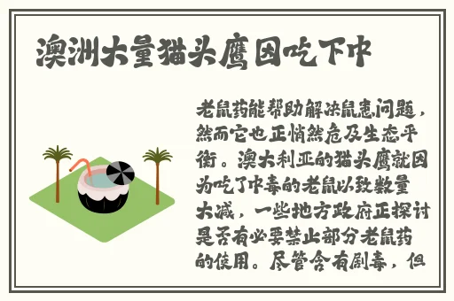男女生爽爽爽视频免费观看
