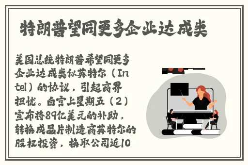 大尺寸的小黄说字多肉校园